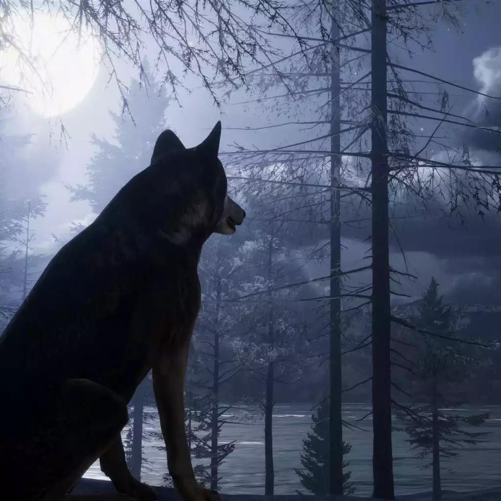 The WILDS GAME 2 NGƯỜI