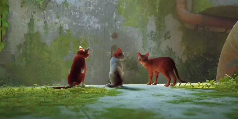 Game Stray có chế độ co-op không?
