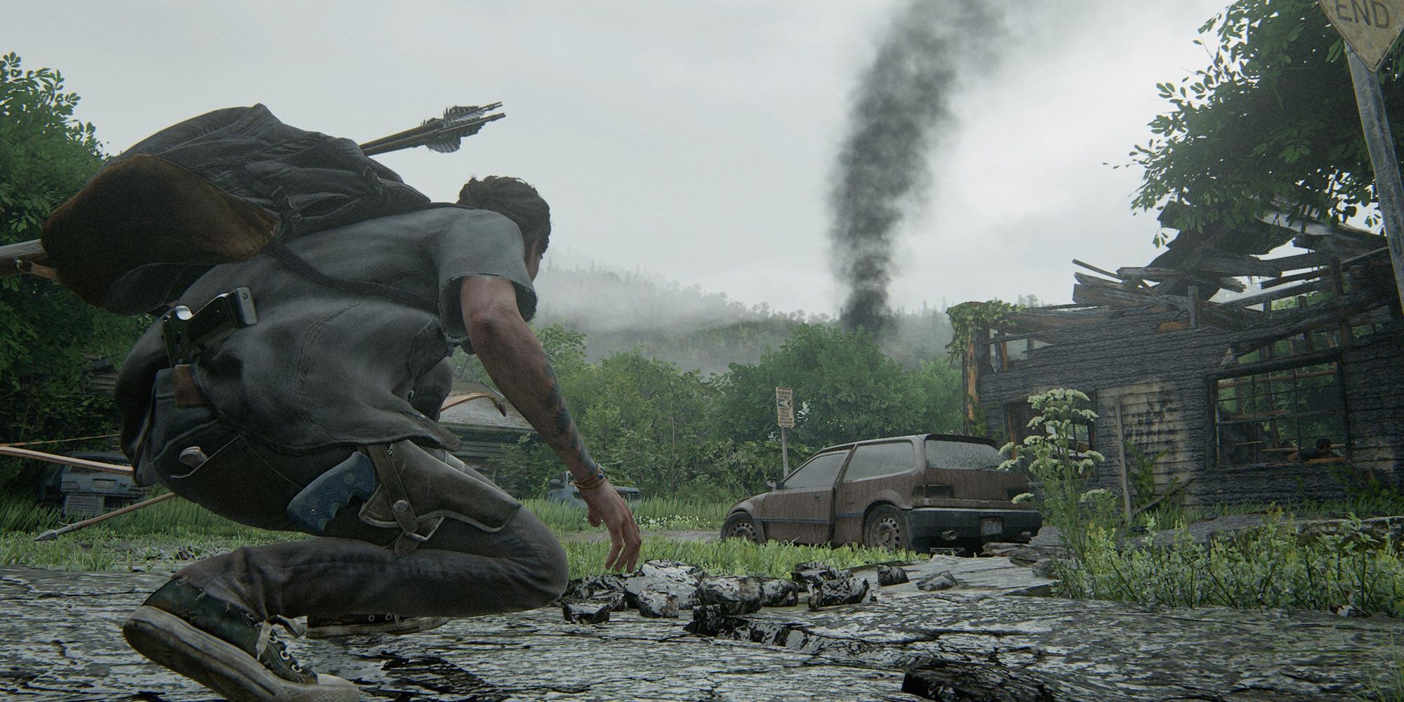 The Last of Us Part 2 Ellie in Hillcrest